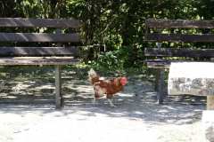BENELLI-WEEK-12-09-2022-FRA-130