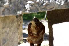 BENELLI-WEEK-12-09-2022-FRA-132
