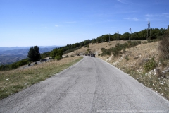 150-Benelli-week-13-settembre-2021