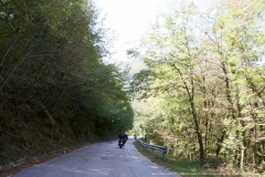 161-Benelli-week-13-settembre-2021