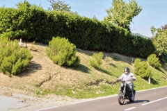113-Benelli-week-13-09-2021-©francesca_bracceschi-