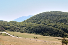 184-Benelli-week-13-09-2021-©francesca_bracceschi-
