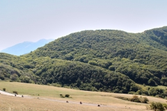 185-Benelli-week-13-09-2021-©francesca_bracceschi-