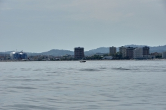 DSC_0109