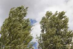 BENELLI-WEEK-16-09-2022-FRA-234