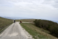 138-Benelli-Week-16-settembre-2021-