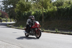 120-Benelli-week-17-settembre-2021-