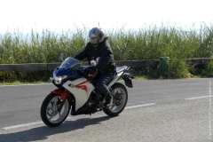 la-carica-dei-101_17-09-12_062