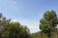 la-carica-dei-101_17-09-12_167