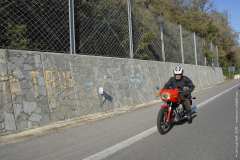 la-carica-dei-101_18-09-12_032
