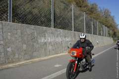 la-carica-dei-101_18-09-12_033