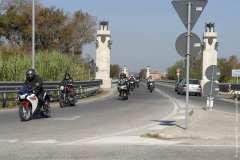 la-carica-dei-101_18-09-12_069