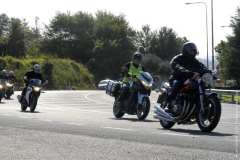 la-carica-dei-101_20-09-12_027