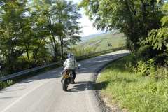 la-carica-dei-101_21-09-12_056