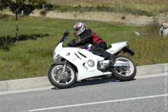 la-carica-dei-101_21-09-12_091