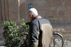 la-carica-dei-101_21-09-12_116