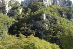 la-carica-dei-101_21-09-12_163