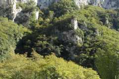 la-carica-dei-101_21-09-12_164