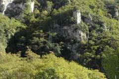 la-carica-dei-101_21-09-12_165