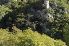 la-carica-dei-101_21-09-12_166