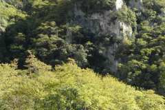 la-carica-dei-101_21-09-12_167