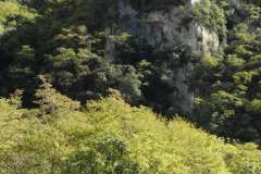 la-carica-dei-101_21-09-12_168
