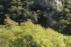 la-carica-dei-101_21-09-12_169