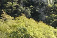 la-carica-dei-101_21-09-12_170