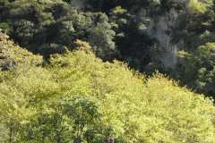 la-carica-dei-101_21-09-12_171