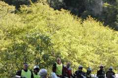 la-carica-dei-101_21-09-12_172
