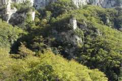 la-carica-dei-101_21-09-12_176