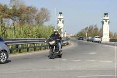 la-carica-dei-101_22-09-12_031