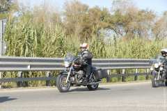 la-carica-dei-101_22-09-12_067