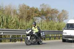 la-carica-dei-101_22-09-12_069
