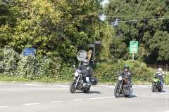 la-carica-dei-101_22-09-12_091