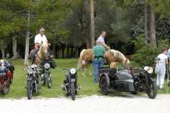 la-carica-dei-101_23-09-12_249