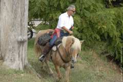 la-carica-dei-101_23-09-12_251