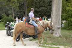 la-carica-dei-101_23-09-12_252