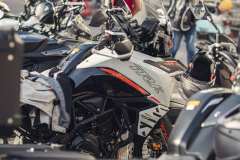 BW23_dom_0239