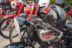 BW23_dom_0247