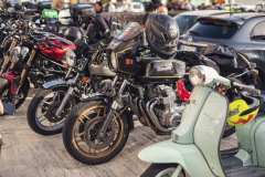 BW23_dom_0293