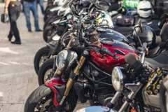 BW23_dom_0294
