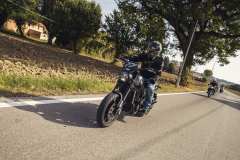 BW23_dom_0881