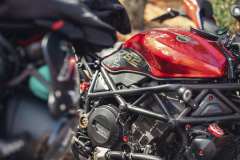 BW23_dom_1253
