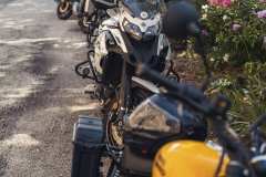 BW23_dom_1477