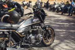 BW23_dom_1478