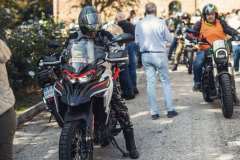 BW23_dom_1536