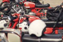 BW23_dom_2350