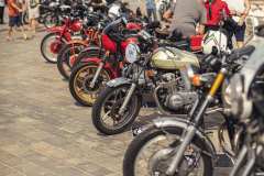 BW23_dom_2353