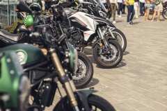 BW23_dom_2358